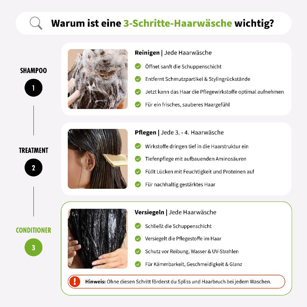 Bild-Alt-Text