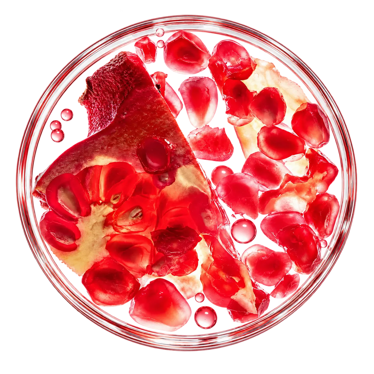 Leuchtend rote Granatapfelkerne und glänzende Tropfen in einer transparenten Petrischale aus Glas, von oben fotografiert.