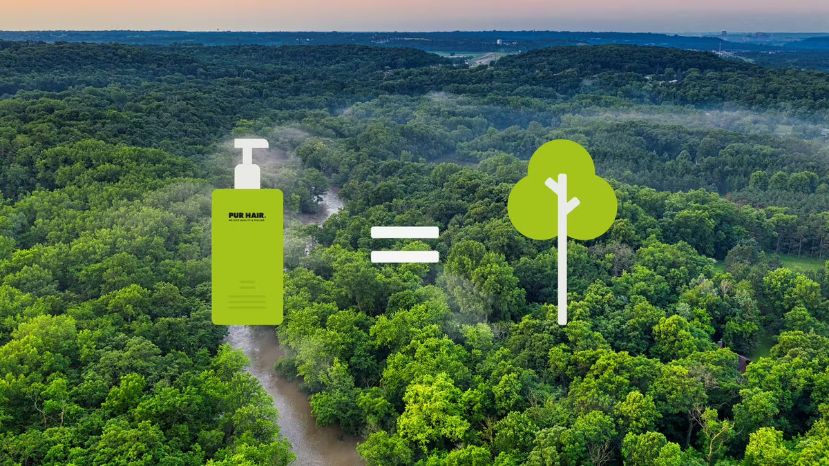 Regenwald im Hintergrund. Produktkauf unterstützt Aufforstungsprojekte.